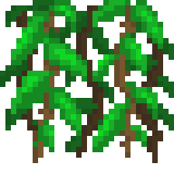 Prehistoric Vines