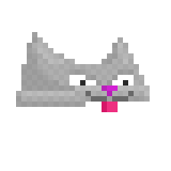 Grey Cat As A Hat