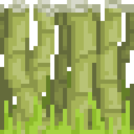 Bamboo