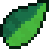 Venus Guytrap Seed