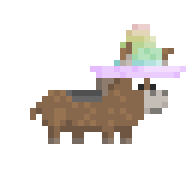 Riding Fiesta Burrito