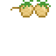 Pineapple Glasses