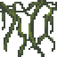 Overgrown Vines