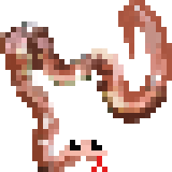 Hanging Snake