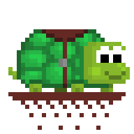 Riding Turtle