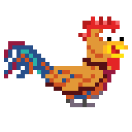 Riding Chicken