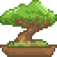 Bonsai