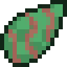 Holly Seed