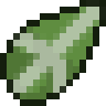 Mistletoe Seed
