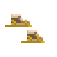 Snowshoes