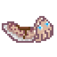 Riding Cuttlefish