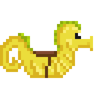 Riding Seahorse