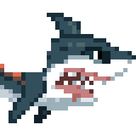 Riding Alpha Great White Shark