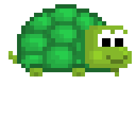 Turtle Hat