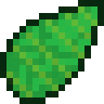 Turtle Hat Seed