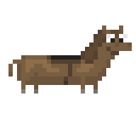 Tiny Horsie