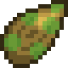 Pineapple Koa Lantern Seed