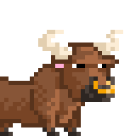 Riding Bull