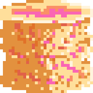 Sea Sponge