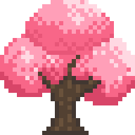 Cherry Blossom Tree