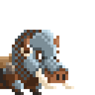 Battle Boar