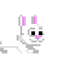 Riding Bunny