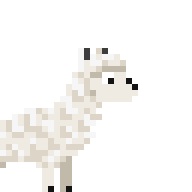 Riding Llama
