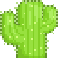 Saguaro Cactus
