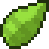 Saguaro Cactus Seed
