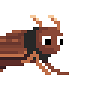 Riding 'roach