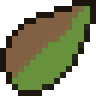 Palm Tree Seed