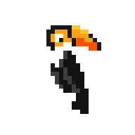 Pet Toucan