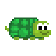 Pet Turtle