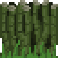 Bountiful Bamboo Background