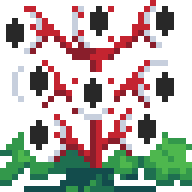Bountiful White Doll's Eyes