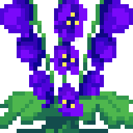 Bountiful Monkshood