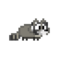 Raccoon Leash