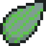Science Station Seed