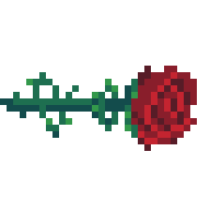 Datemaster's Rose