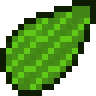 Giant Falling Shamrock Seed