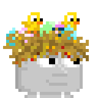 Nest Hat
